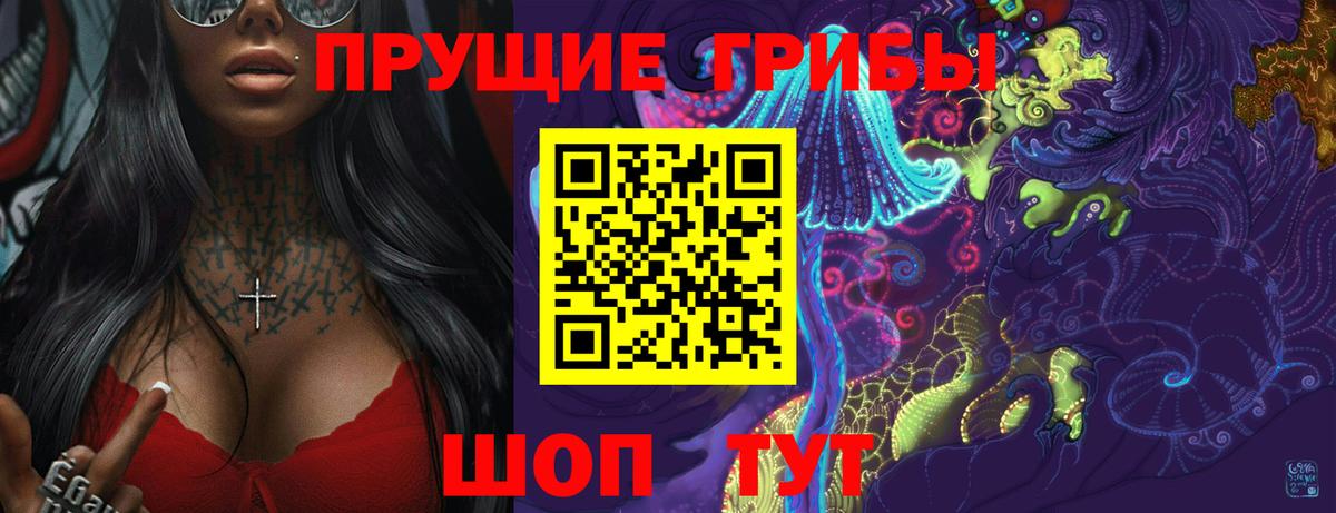 Железноводск  Галлюциногенные грибы Psilocybe  Вход с VPN 